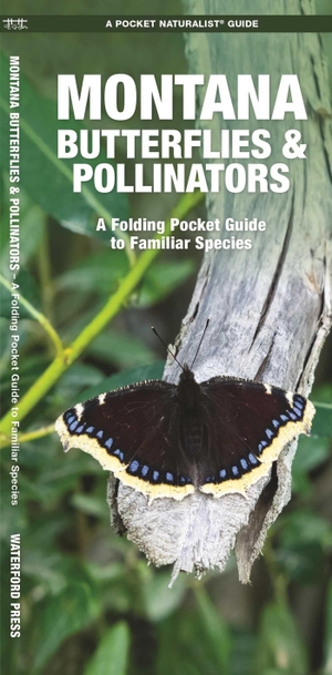 Kavanagh, James. Montana Butterflies & Pollinators - A Folding Pocket Guide to Familiar Species. Globe Pequot Publishing Group Inc, 2023.