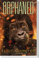 Orphaned (Ape Quartet #4)