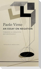 An Essay on Negation