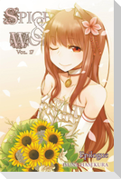 Spice and Wolf, Vol. 17 (light novel)