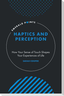 Haptics and Perception