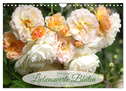 Liebenswerte Blüten (Wandkalender 2024 DIN A4 quer), CALVENDO Monatskalender