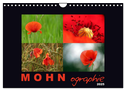MOHNographie (Wandkalender 2025 DIN A4 quer), CALVENDO Monatskalender