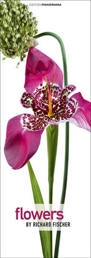 Fischer, Richard. Flowers - Immerwährender Vertikal-Kalender, 40 x 110 cm. Edition Panorama GmbH, 2023.