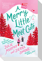 A Merry Little Meet Cute