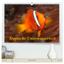 Tropische Unterwasserwelt (hochwertiger Premium Wandkalender 2024 DIN A2 quer), Kunstdruck in Hochglanz