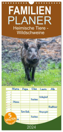 Familienplaner 2024 - Heimische Tiere - Wildschweine mit 5 Spalten (Wandkalender, 21 x 45 cm) CALVENDO