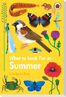 What to Look For in Summer