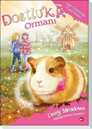 Dostluk Ormani 08 - Gül Tomurcuk Nasil Kacti