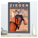 Ziegenportraits (hochwertiger Premium Wandkalender 2024 DIN A2 hoch), Kunstdruck in Hochglanz