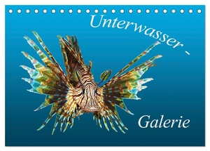 Niemann, Ute. Unterwasser-Galerie (Tischkalender 2024 DIN A5 quer), CALVENDO Monatskalender - Sehr nah - Sehr intensiv - Leben im Meer. Calvendo, 2023.