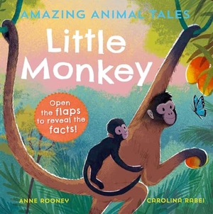 Rooney, Anne. Amazing Animal Tales: Little Monkey. Oxford University Press, 2023.