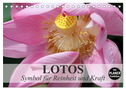 Lotos. Symbol für Reinheit und Kraft (Tischkalender 2024 DIN A5 quer), CALVENDO Monatskalender