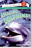 Amazing Dolphins!