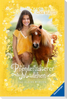 Pferdeflüsterer-Mädchen, Band 4: Das kleine Wunder