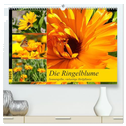 Die Ringelblume. Sonnengelbe, vielseitige Heilpflanze (hochwertiger Premium Wandkalender 2025 DIN A2 quer), Kunstdruck in Hochglanz