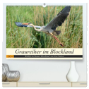 Graureiher im Blockland (hochwertiger Premium Wandkalender 2024 DIN A2 quer), Kunstdruck in Hochglanz