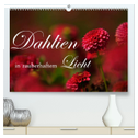 Dahlien in zauberhaftem Licht (hochwertiger Premium Wandkalender 2025 DIN A2 quer), Kunstdruck in Hochglanz