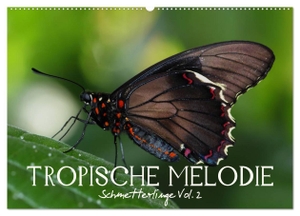 Photon, Vronja. Tropische Melodie - Schmetterlinge Vol.2 (Wandkalender 2024 DIN A2 quer), CALVENDO Monatskalender - Tropische Schmetterlinge aus aller Welt. Calvendo Verlag, 2023.