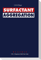 Surfactant Aggregation