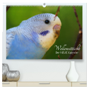 Wellensittiche - der NEUE Kalender (hochwertiger Premium Wandkalender 2024 DIN A2 quer), Kunstdruck in Hochglanz