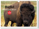 Büffel. Wisent und Bison (Wandkalender 2024 DIN A4 quer), CALVENDO Monatskalender