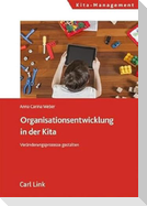 Organisationsentwicklung in der Kita