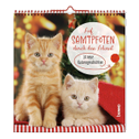 Auf Samtpfoten durch den Advent