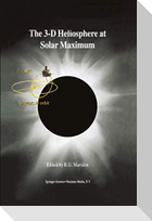 The 3-D Heliosphere at Solar Maximum