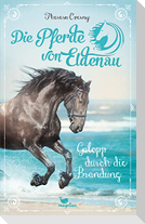 Die Pferde von Eldenau - Galopp durch die Brandung