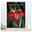 Faszination Orchideen (hochwertiger Premium Wandkalender 2024 DIN A2 hoch), Kunstdruck in Hochglanz