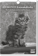 DUMONTS Katzenkalender 2027