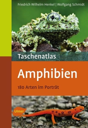 Henkel, Friedrich Wilhelm / Wolfgang Schmidt. Taschenatlas Amphibien - 175 Arten für das Terrarium. Ulmer Eugen Verlag, 2011.