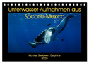 Unterwasser-Aufnahmen aus Socorro-Mexico (Tischkalender 2025 DIN A5 quer), CALVENDO Monatskalender
