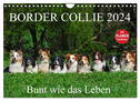 Border Collie 2024 (Wandkalender 2024 DIN A4 quer), CALVENDO Monatskalender