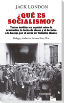 Qué Es Socialismo?