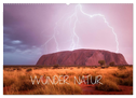 Wunder Natur II (Wandkalender 2024 DIN A2 quer), CALVENDO Monatskalender