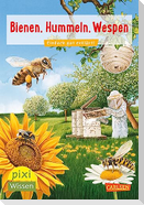 VE 5: Bienen, Hummeln, Wespen