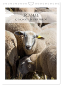 Schafe - 12 Monate in der Herde (Wandkalender 2024 DIN A4 hoch), CALVENDO Monatskalender