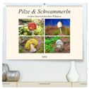 Pilze & Schwammerln (hochwertiger Premium Wandkalender 2024 DIN A2 quer), Kunstdruck in Hochglanz
