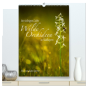 Im richtigen Licht: Wilde Orchideen in Südbayern (hochwertiger Premium Wandkalender 2024 DIN A2 hoch), Kunstdruck in Hochglanz