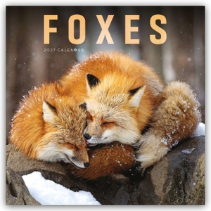 Carousel Calendar. Foxes - Füchse 2027 - Wand-Kalender - Original Carousel-Kalender [Mehrsprachig] [Kalender]. Browntrout Verlags GmbH, 2026.