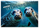 Freche Seehunde (Wandkalender 2024 DIN A3 quer), CALVENDO Monatskalender