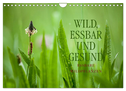 WILD, ESSBAR UND GESUND Essbare Wildpflanzen (Wandkalender 2024 DIN A4 quer), CALVENDO Monatskalender