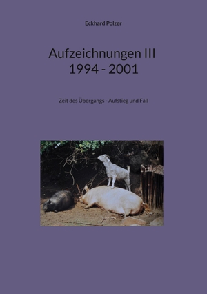 Polzer, Eckhard. Aufzeichnungen III; 1994 - 2001 - Zeit des Übergangs - Aufstieg und Fall. TWENTYSIX EPIC, 2023.