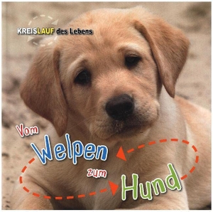 Bédoyère, Camilla de la. Vom Welpen zum Hund. Kreislauf des Lebens - Kreislauf des Lebens. Ars Scribendi Verlag, 2016.
