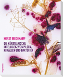 Die künstlerische Intelligenz von Pilzen, Korallen und Bakterien