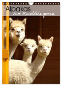 Alpakas zum Knuddeln gerne (Wandkalender 2024 DIN A4 hoch), CALVENDO Monatskalender