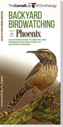 Backyard Birdwatching in Phoenix