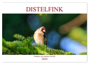 Distelfink (Wandkalender 2024 DIN A2 quer), CALVENDO Monatskalender